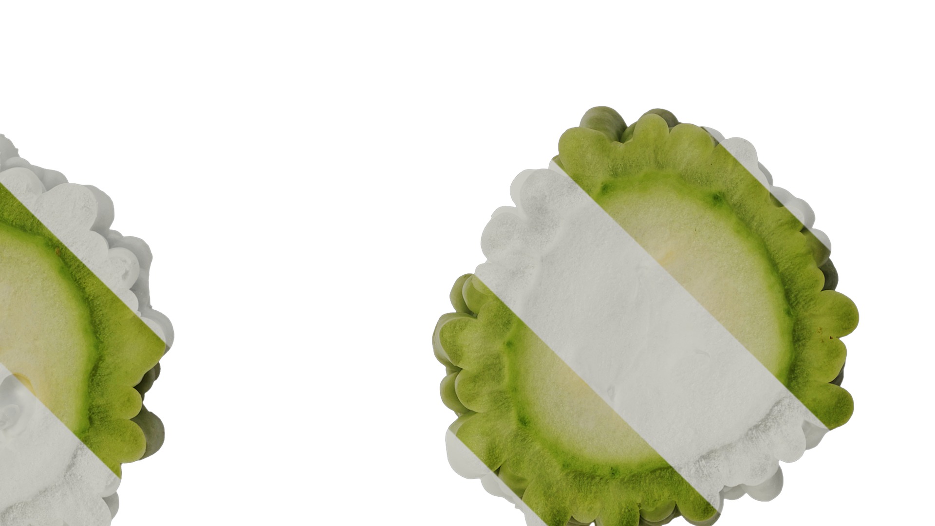 Anydrafts Momordica charantia Fruit 02 Texture_4