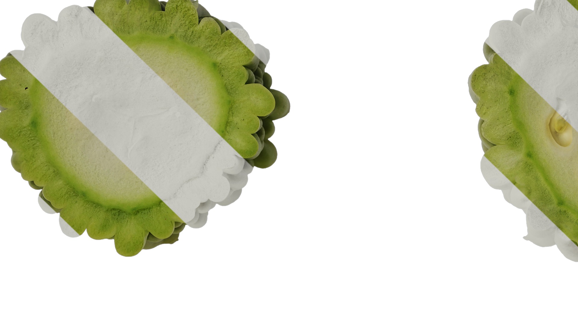 Anydrafts Momordica charantia Fruit 02 Texture_1