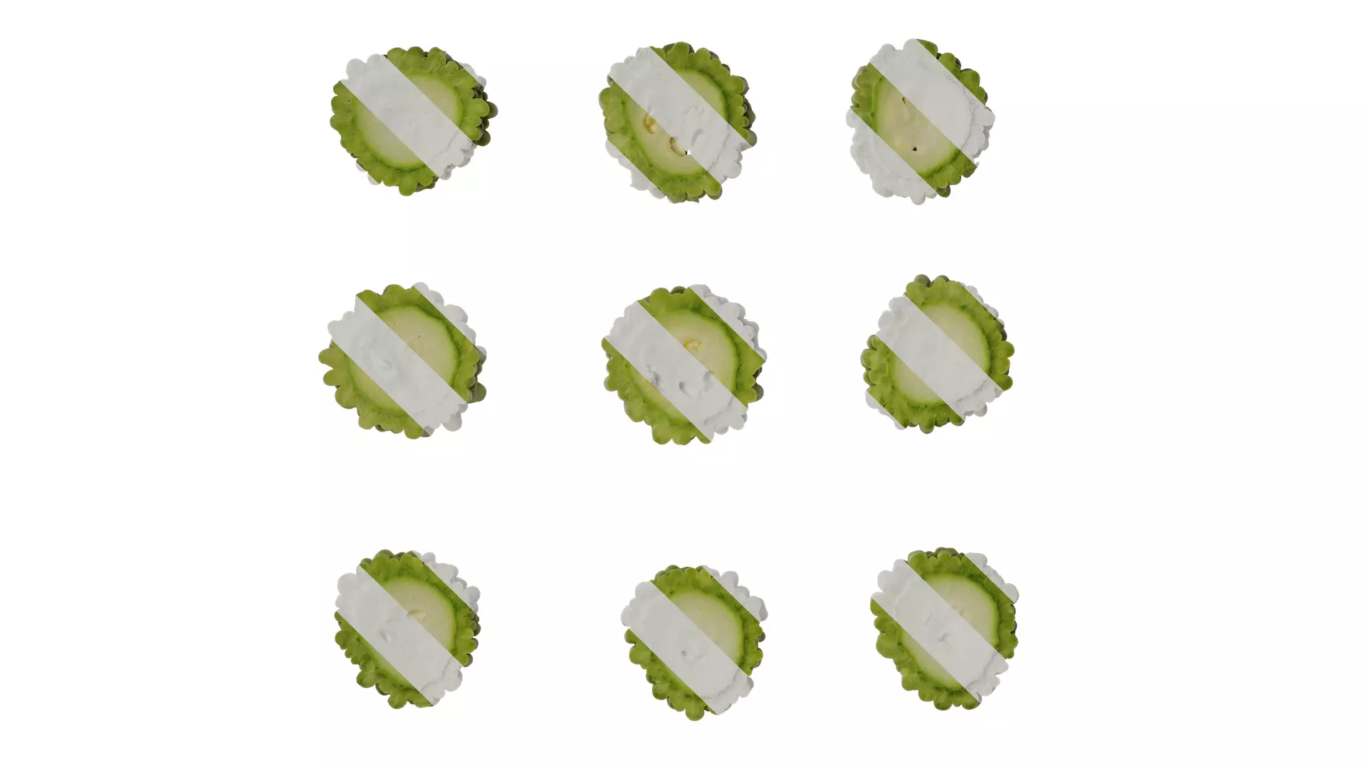 Anydrafts Momordica charantia Fruit 02 Texture_0