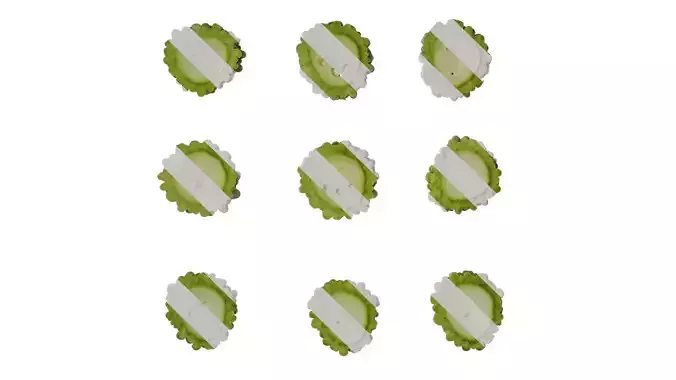 Anydrafts Momordica charantia Fruit 02