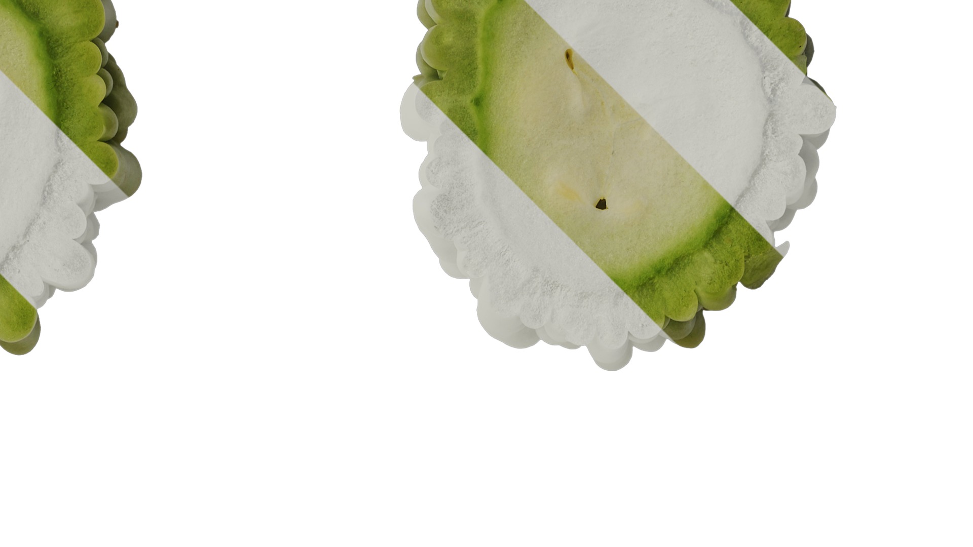 Anydrafts Momordica charantia Fruit 02 Texture_2