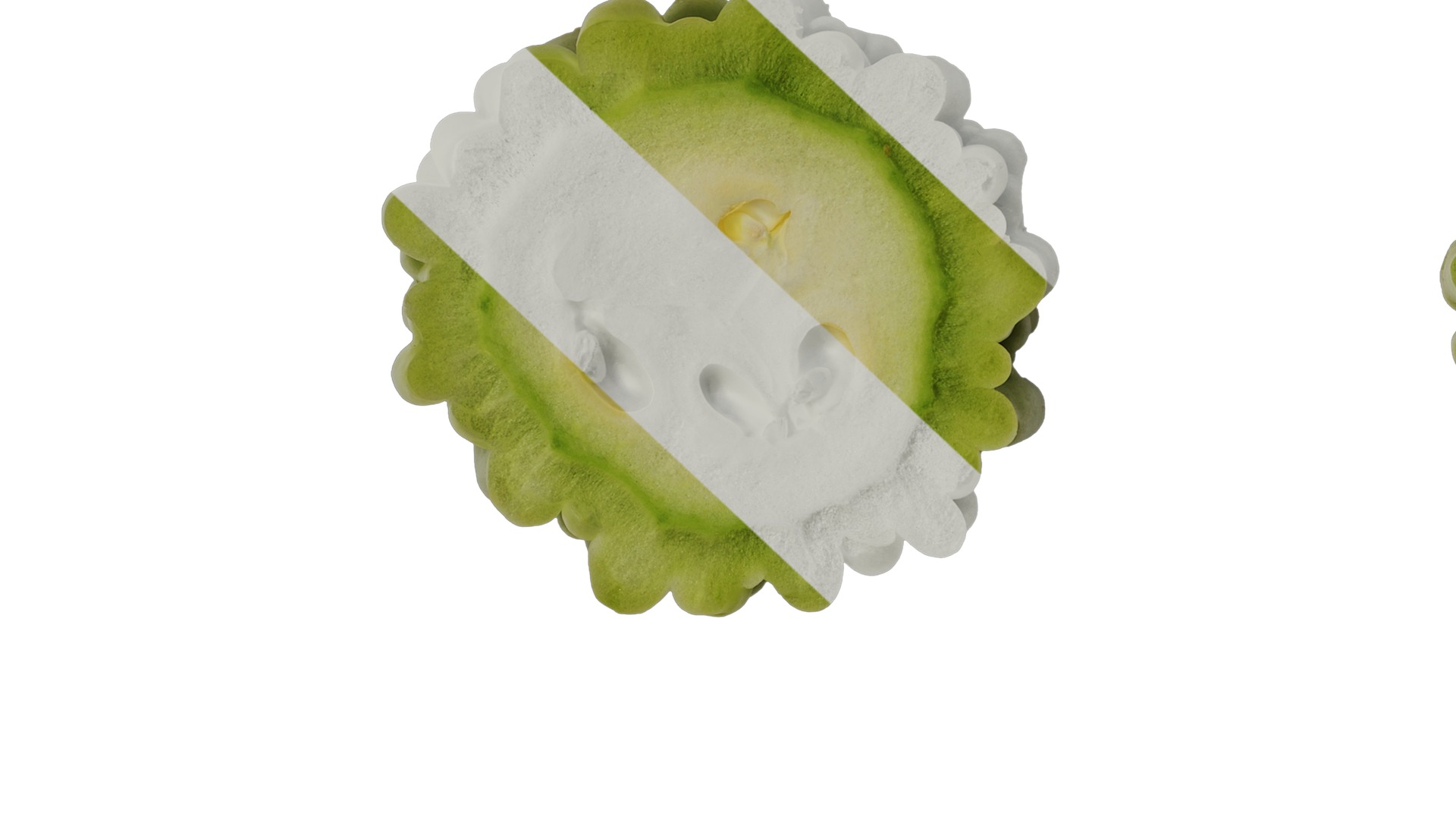 Anydrafts Momordica charantia Fruit 02 Texture_7