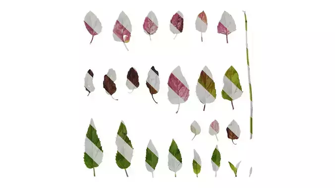 Anydrafts Monarda didyma Leaf 01