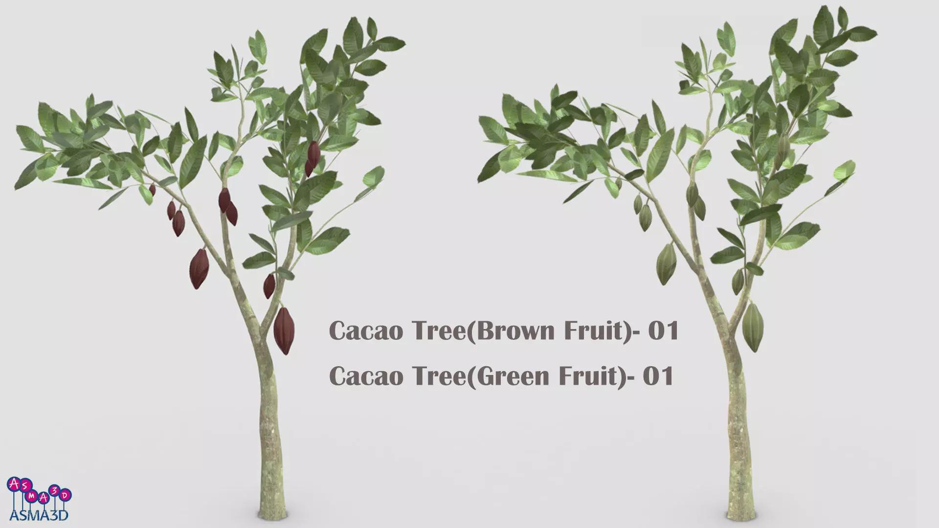 Cacao Tree- 01 Low-poly 3D model