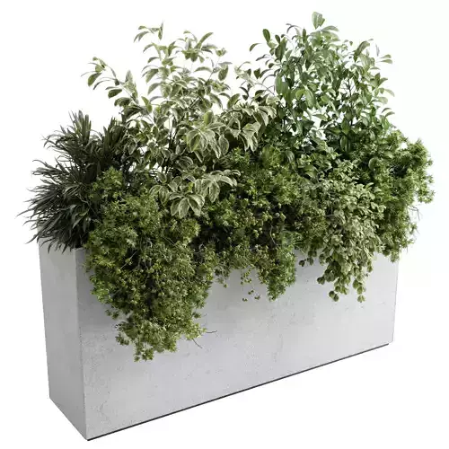 Office plant - concrete box plants on stand - set i588