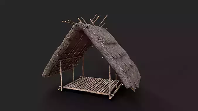 Primitive Wooden Shelter with Thatch Roof 2