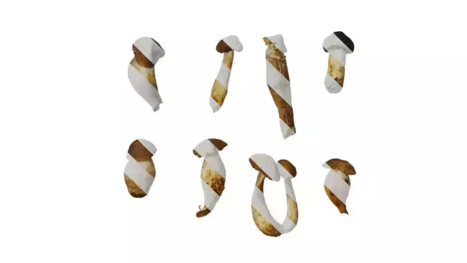 Anydrafts Pleurotus eryngii Atlas 01 Texture