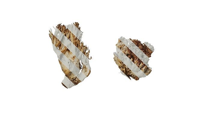 Anydrafts Ramaria botrytoides Atlas 01 Texture