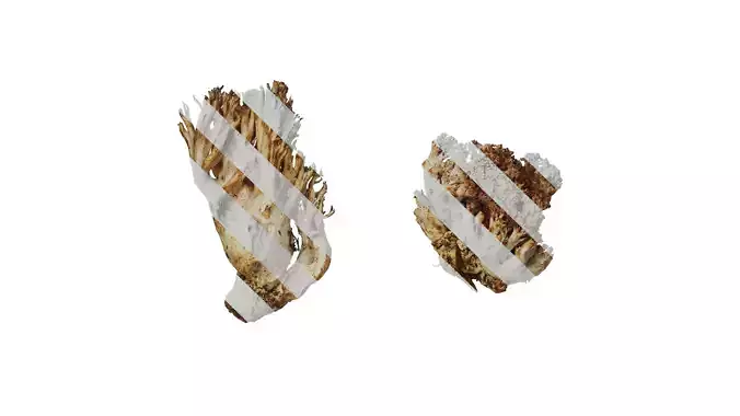 Anydrafts Ramaria botrytoides Atlas 01