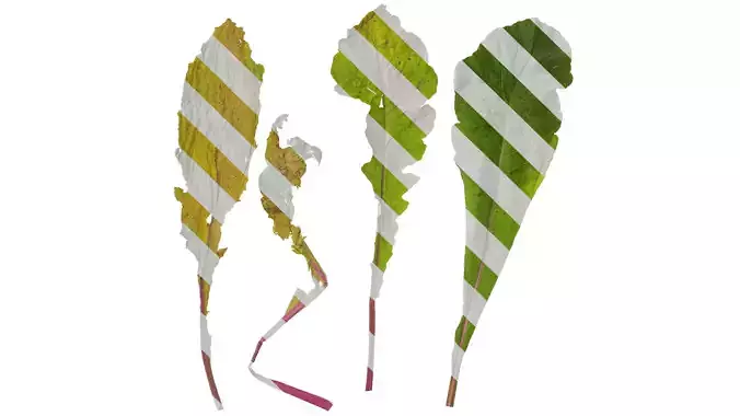 Anydrafts Raphanus sativus Leaf 04 Texture