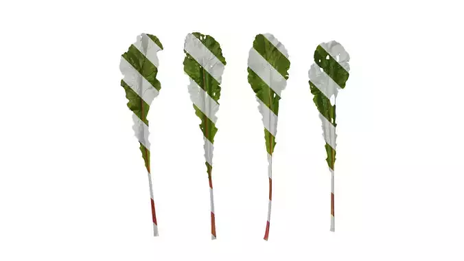 Anydrafts Raphanus sativus Leaf 11 Texture
