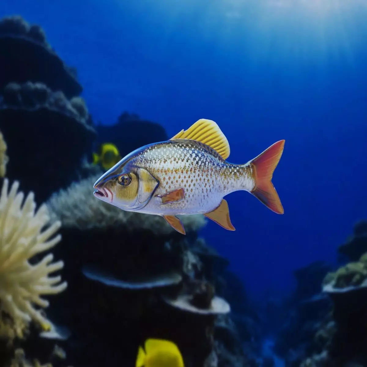 Fish PBR rigging animation Low-poly 3D model_0