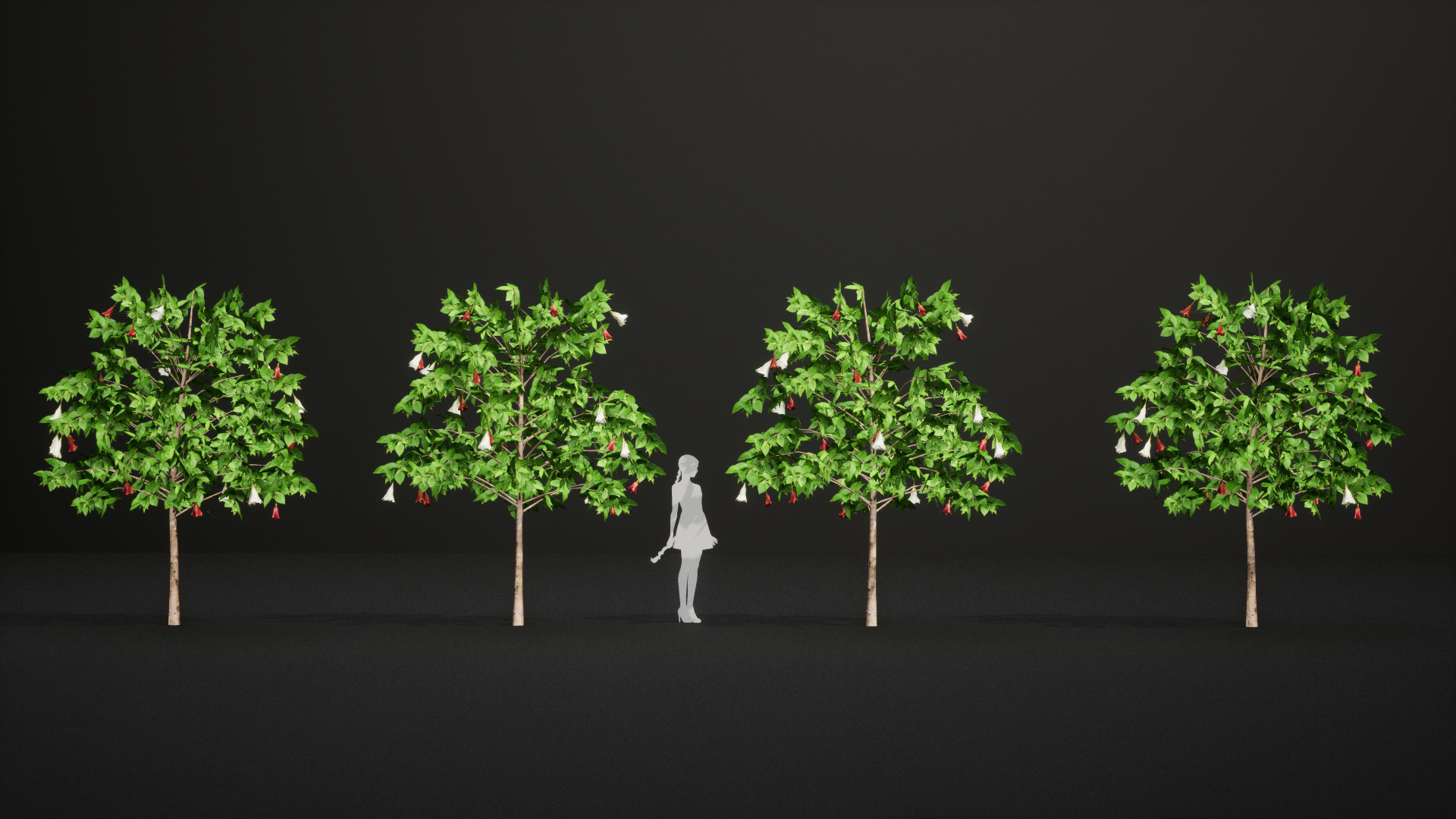 Extinct in the Wild Plant - 4 St Helena Redwood Flower Tree Low-poly 3D model_4