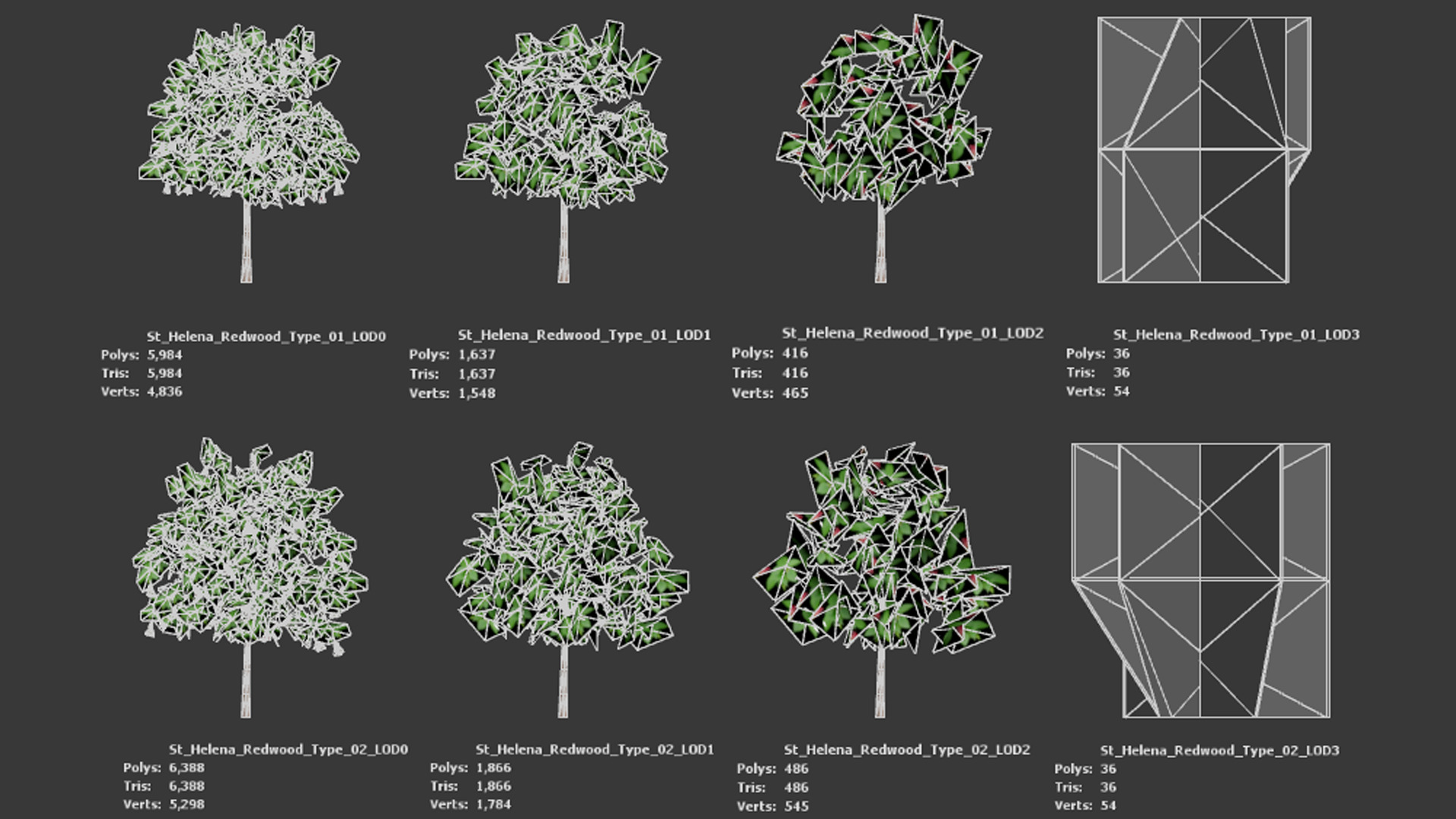 Extinct in the Wild Plant - 4 St Helena Redwood Flower Tree Low-poly 3D model_8