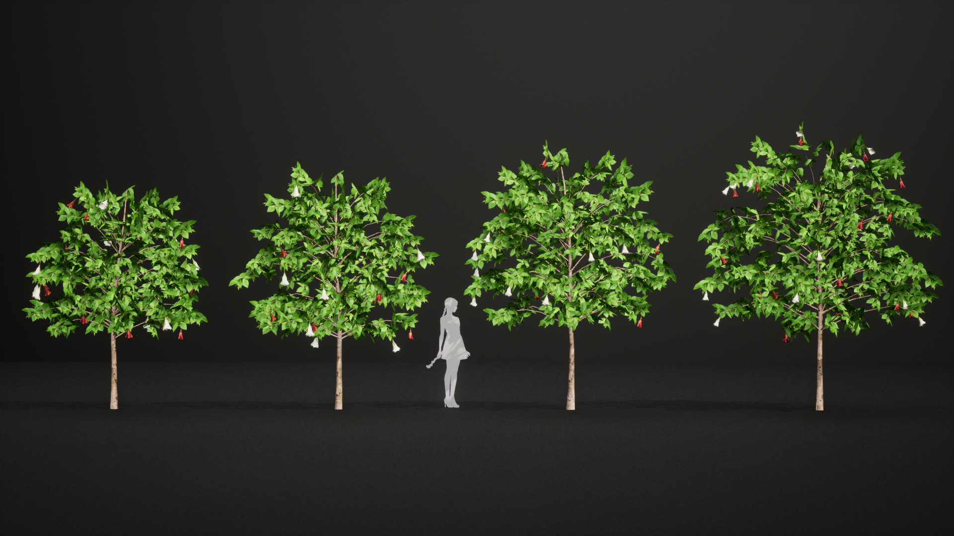 Extinct in the Wild Plant - 4 St Helena Redwood Flower Tree Low-poly 3D model_3