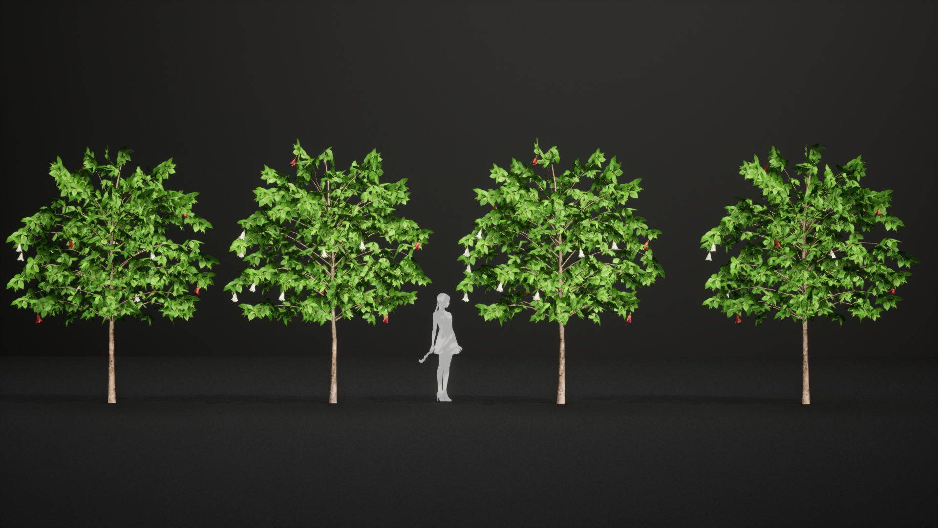 Extinct in the Wild Plant - 4 St Helena Redwood Flower Tree Low-poly 3D model_6