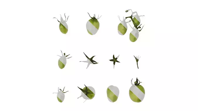 Anydrafts Solanum lycopersicum Fruit 09 Texture