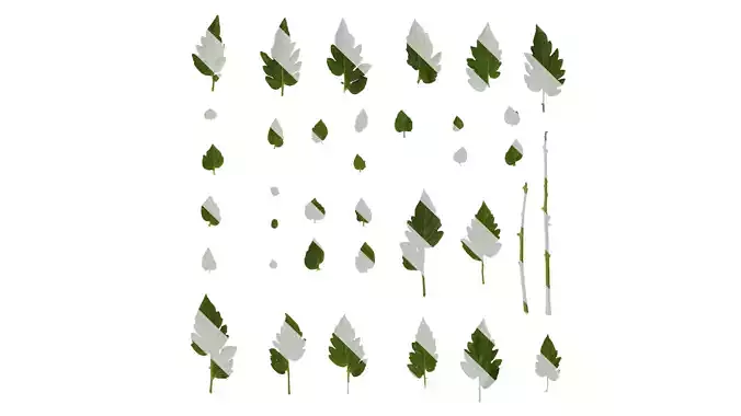 Anydrafts Solanum lycopersicum Leaf 01