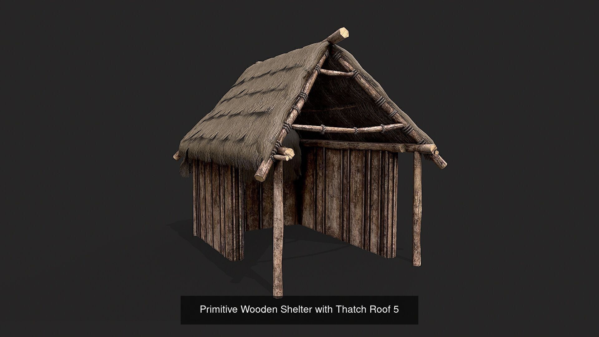 Primitive Wooden Shelter with Thatch Roof PBR Collection _6