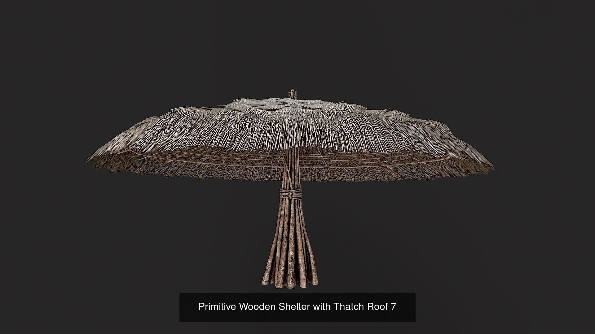 Primitive Wooden Shelter with Thatch Roof PBR Collection _8