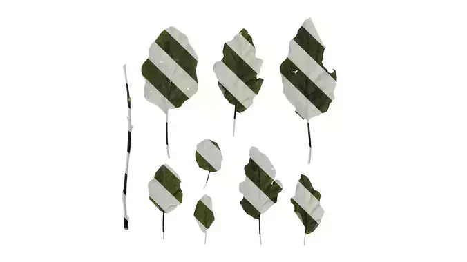 Anydrafts Solanum melongena Leaf 03