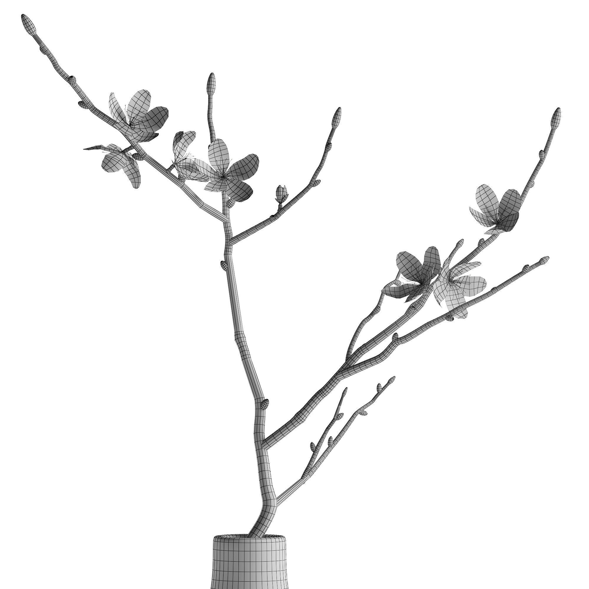 Japandi Vase With Blossom Branch 3D model_4