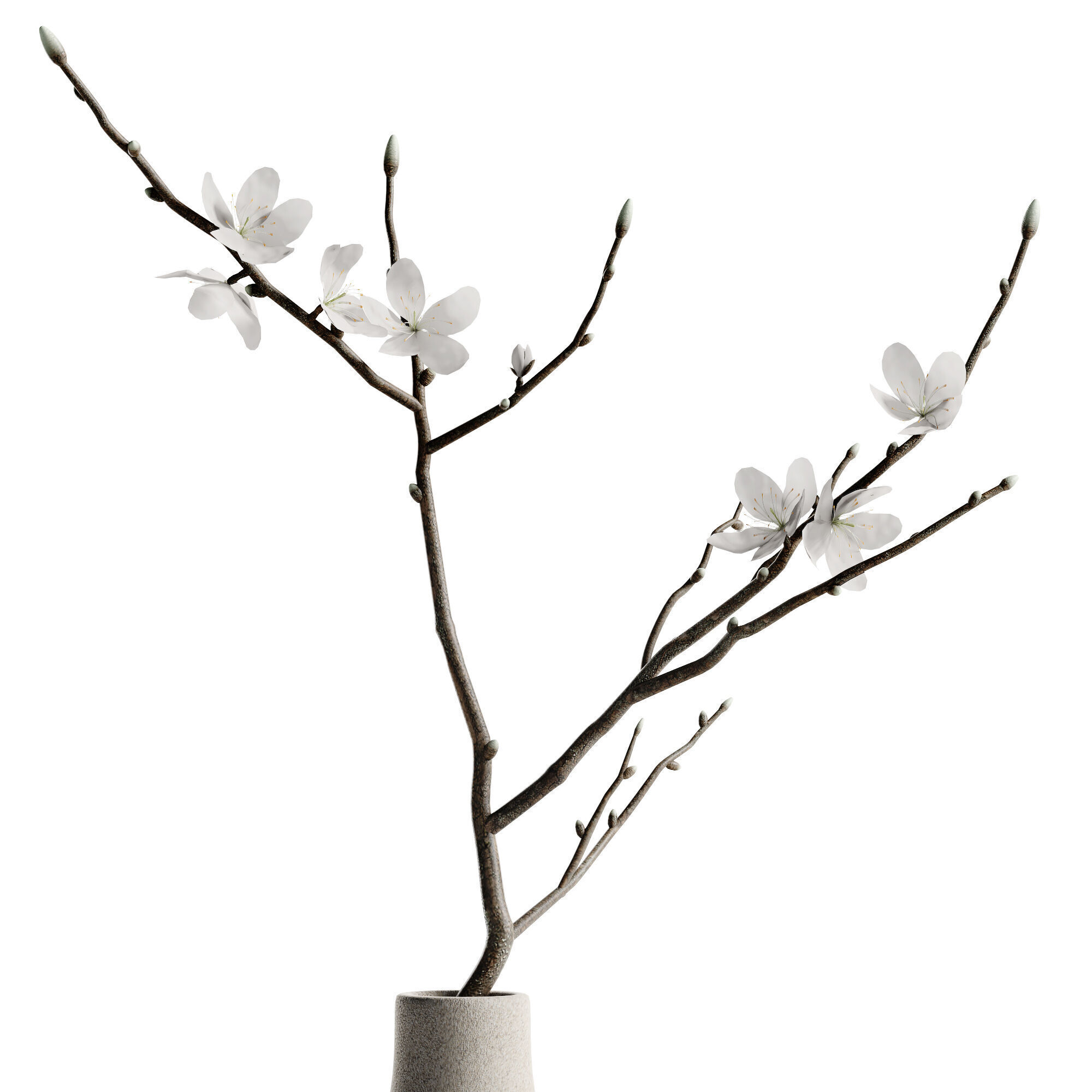 Japandi Vase With Blossom Branch 3D model_1
