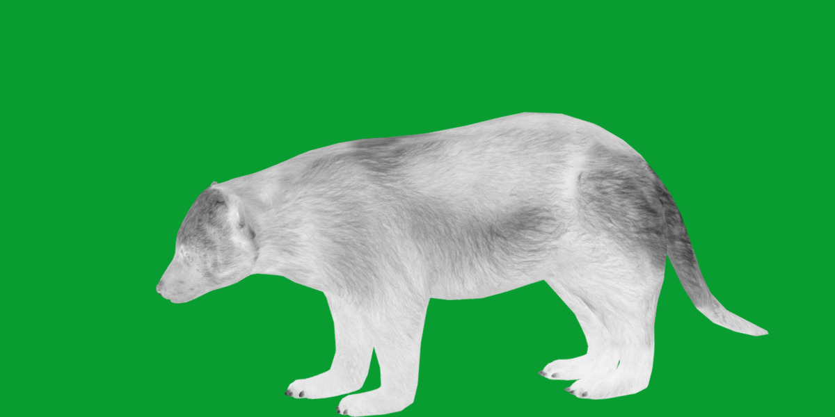 Wolverine Carcajou Low-poly 3D model_21