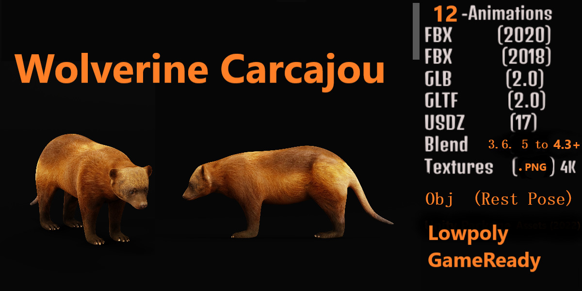 Wolverine Carcajou Low-poly 3D model_3