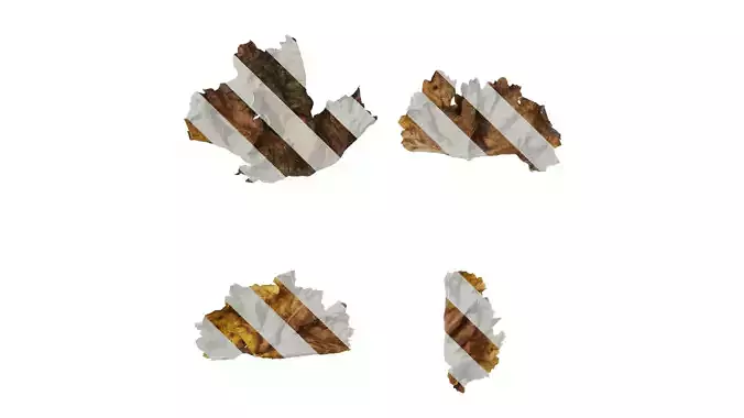 Anydrafts Vitis vinifera Leaf 08