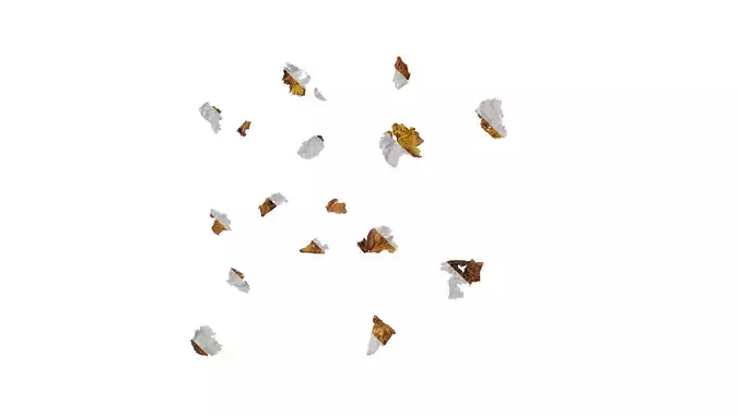 Anydrafts Vitis vinifera Leaf 09