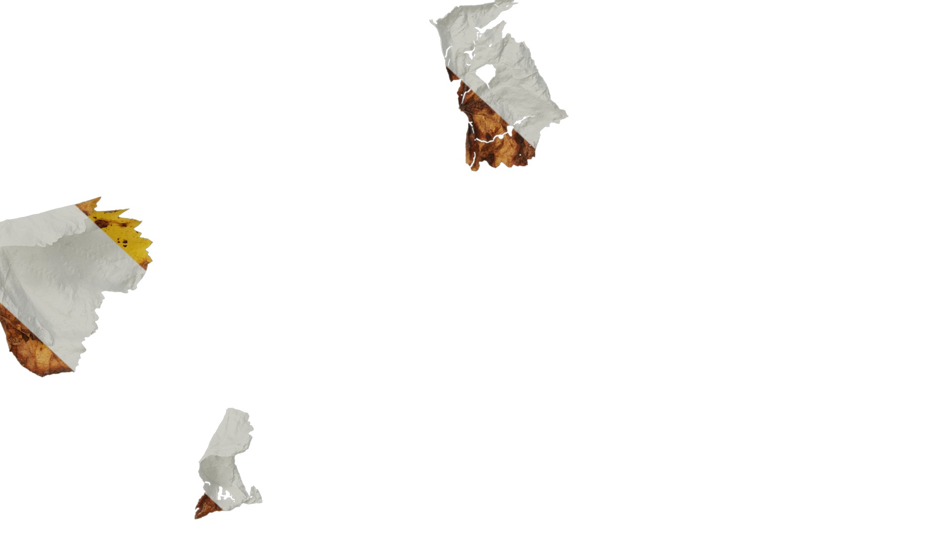 Anydrafts Vitis vinifera Leaf 11 Texture_6