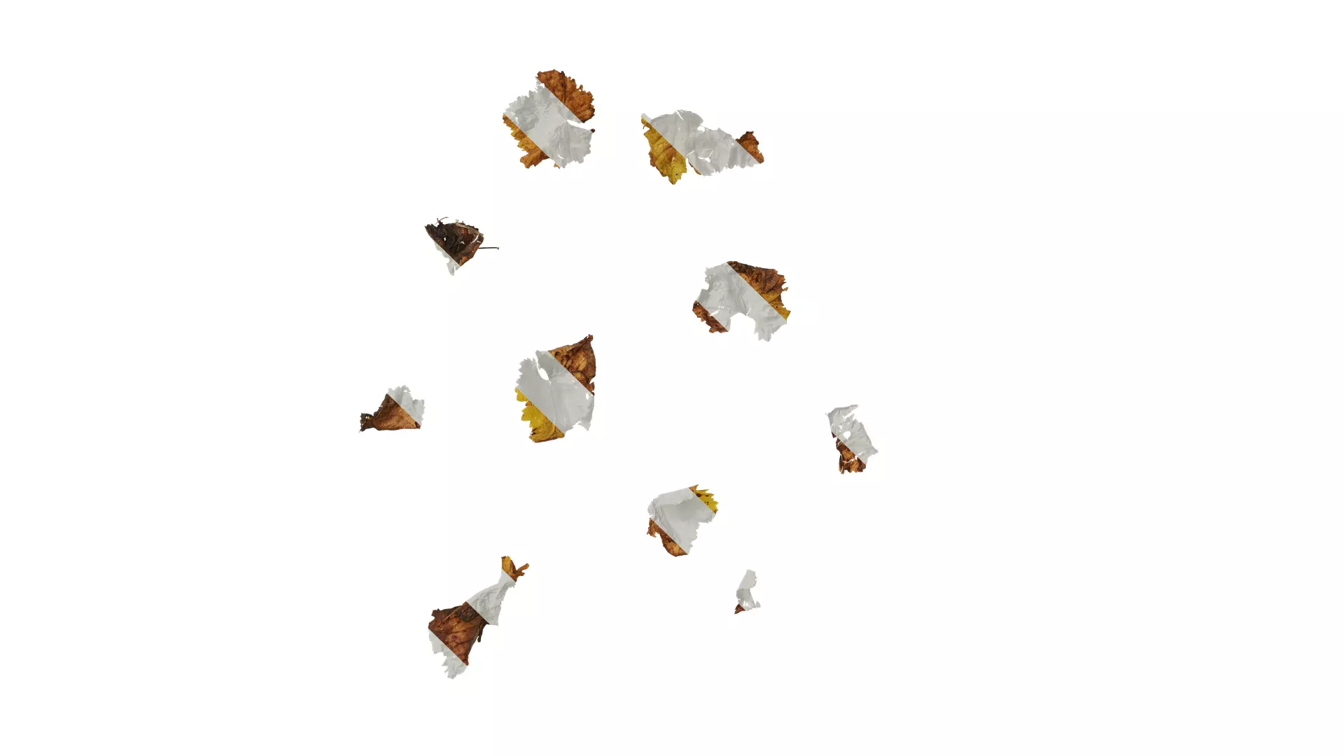 Anydrafts Vitis vinifera Leaf 11 Texture_0