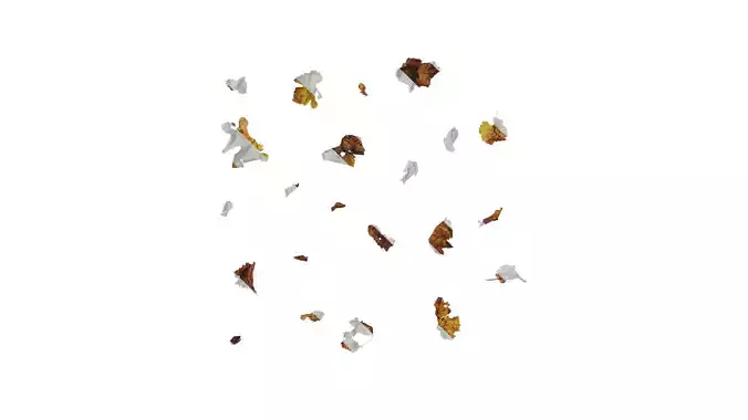 Anydrafts Vitis vinifera Leaf 12