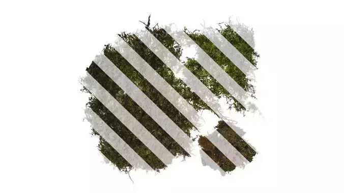 Anydrafts Bryophytes Atlas 01