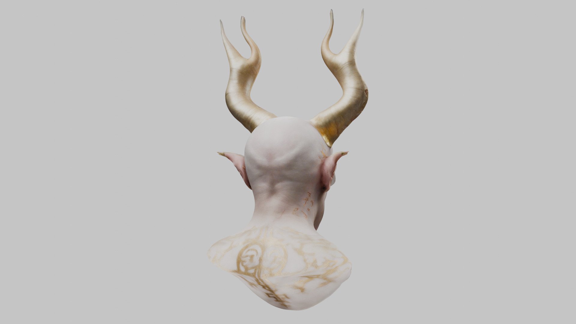 Portrait Head with Detailed Texture 3D model_12