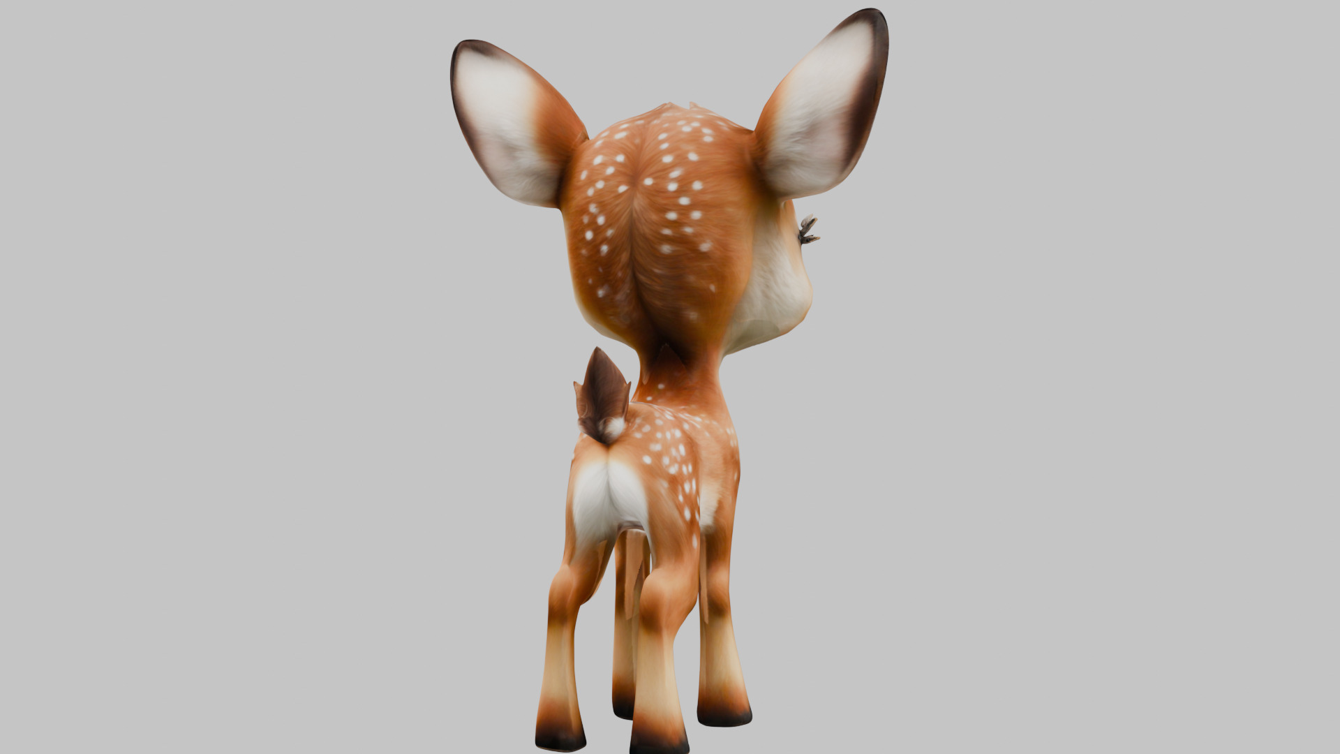 Realistic Bambi Baby Deer Fawn 3D Model Low-poly 3D model_14