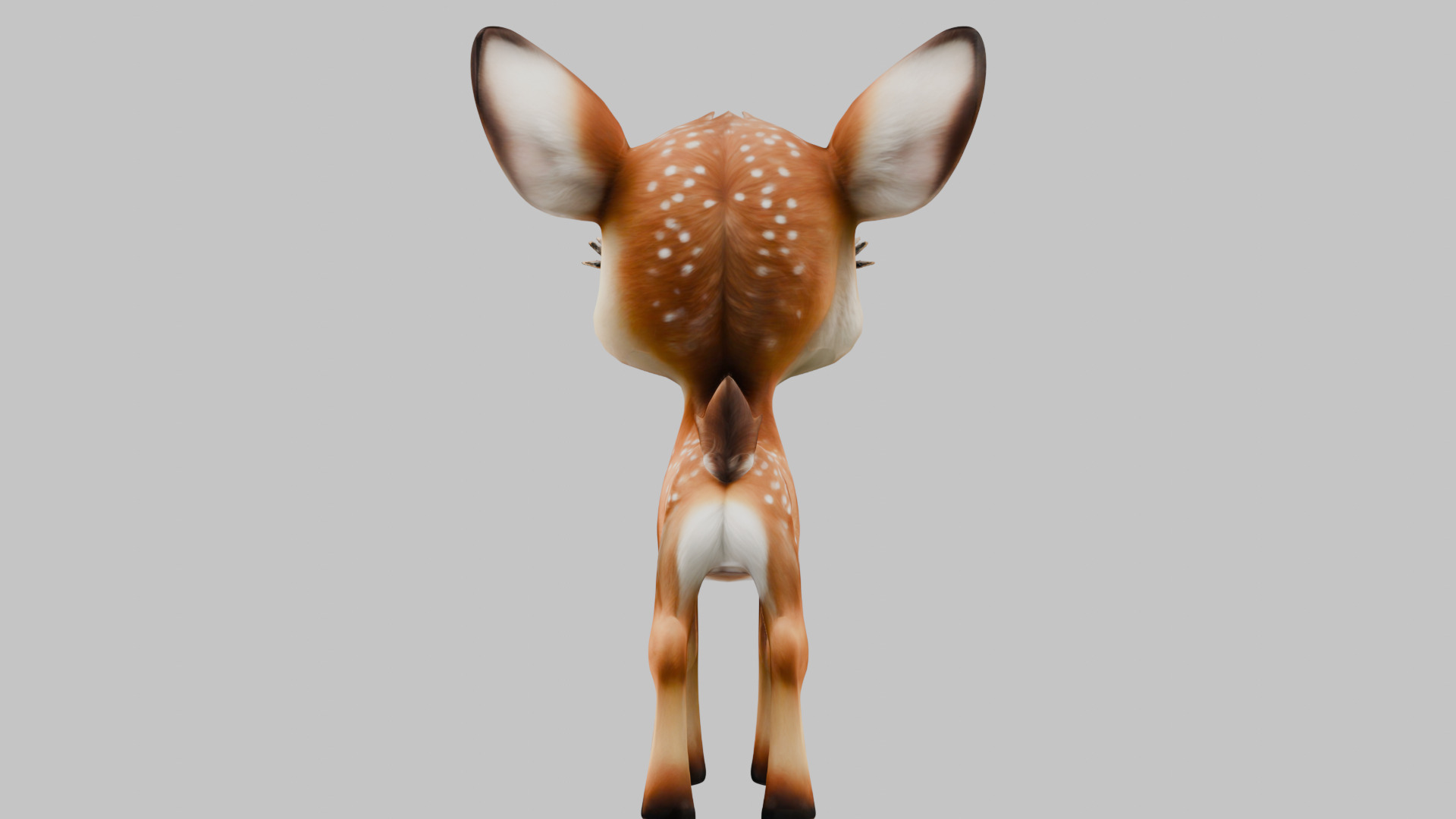 Realistic Bambi Baby Deer Fawn 3D Model Low-poly 3D model_15
