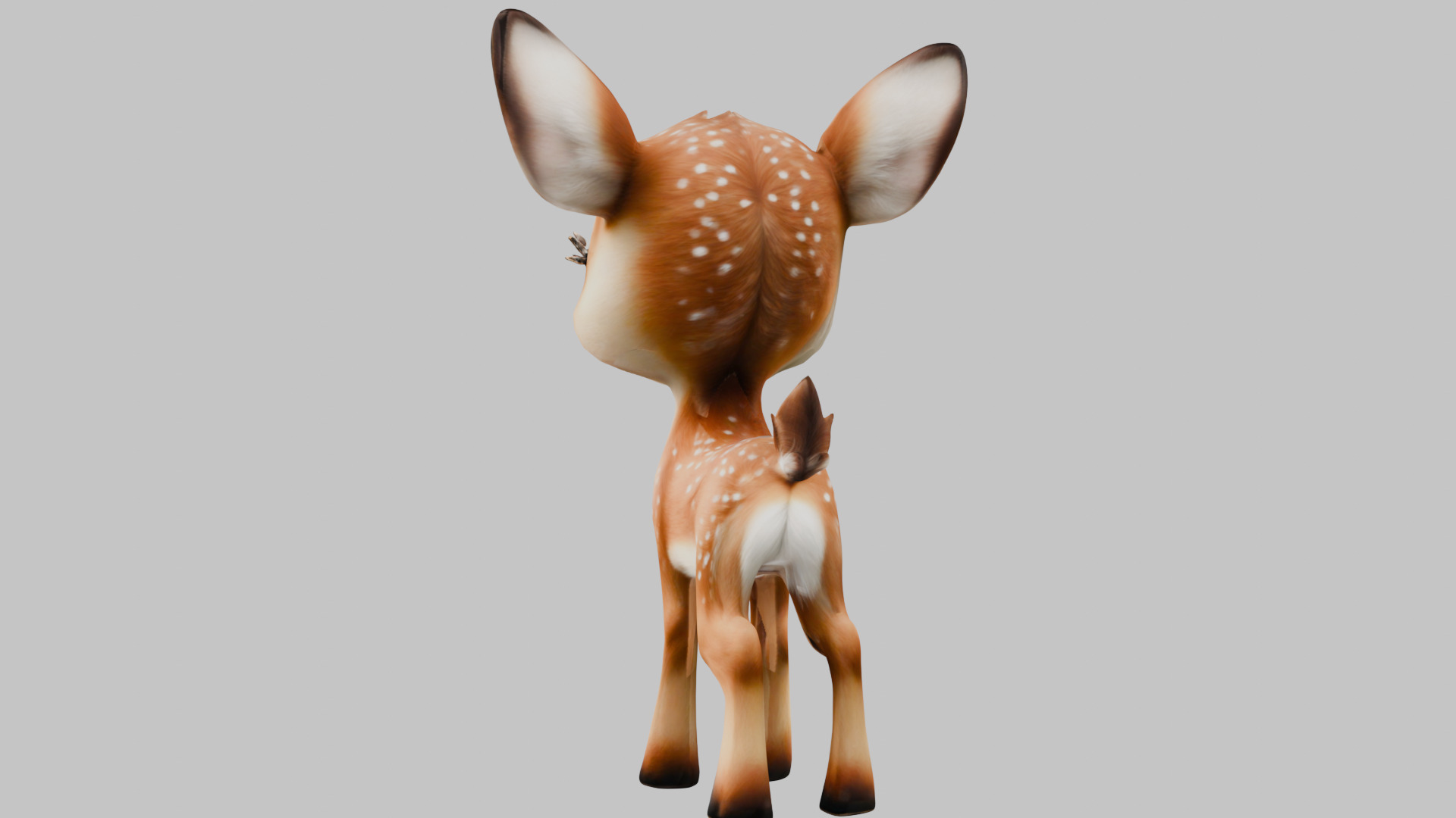 Realistic Bambi Baby Deer Fawn 3D Model Low-poly 3D model_1