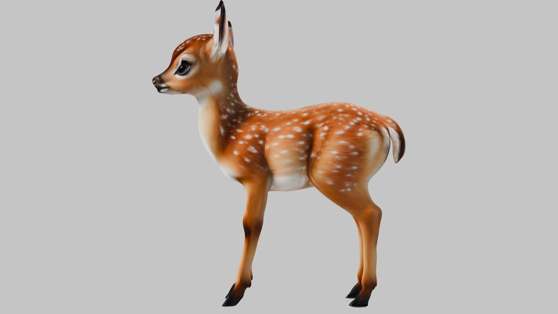 Realistic Deer Fawn 3D Model Low-poly 3D model_5