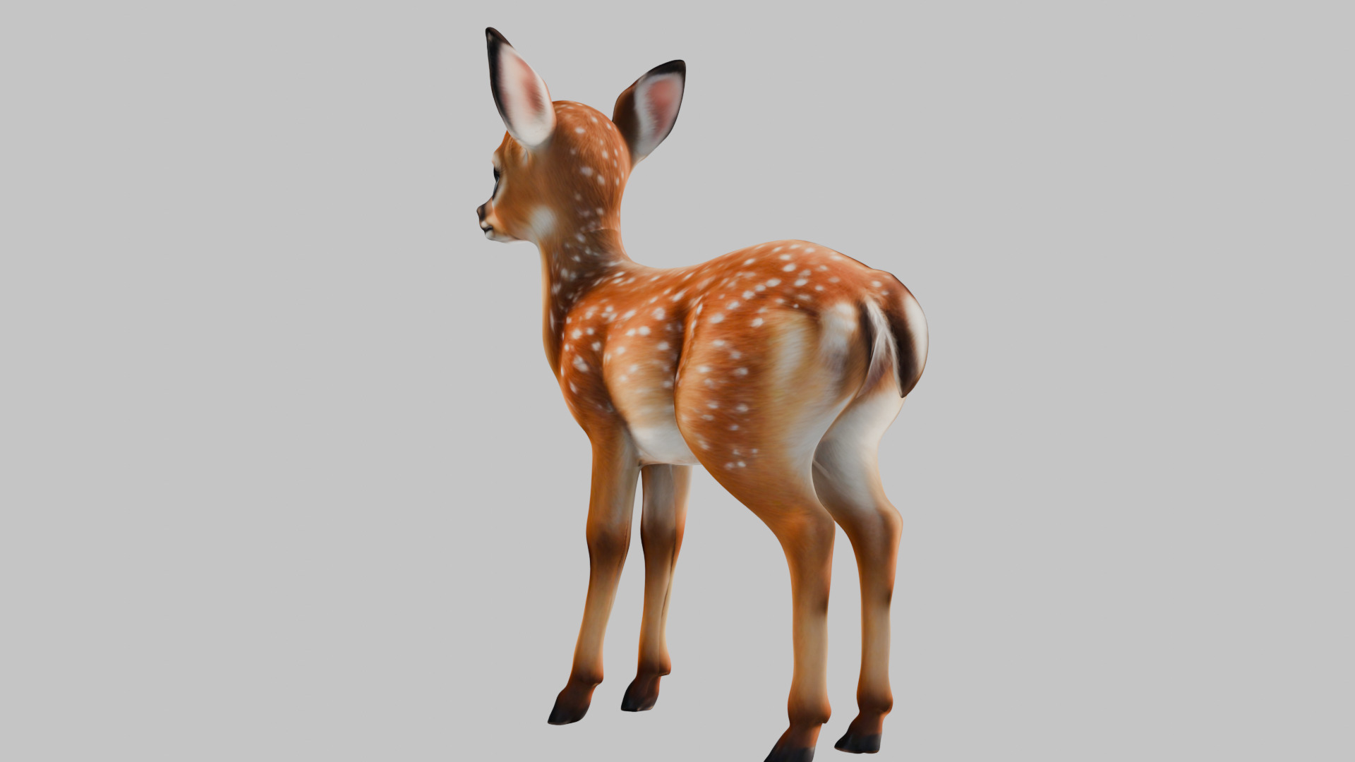 Realistic Deer Fawn 3D Model Low-poly 3D model_3