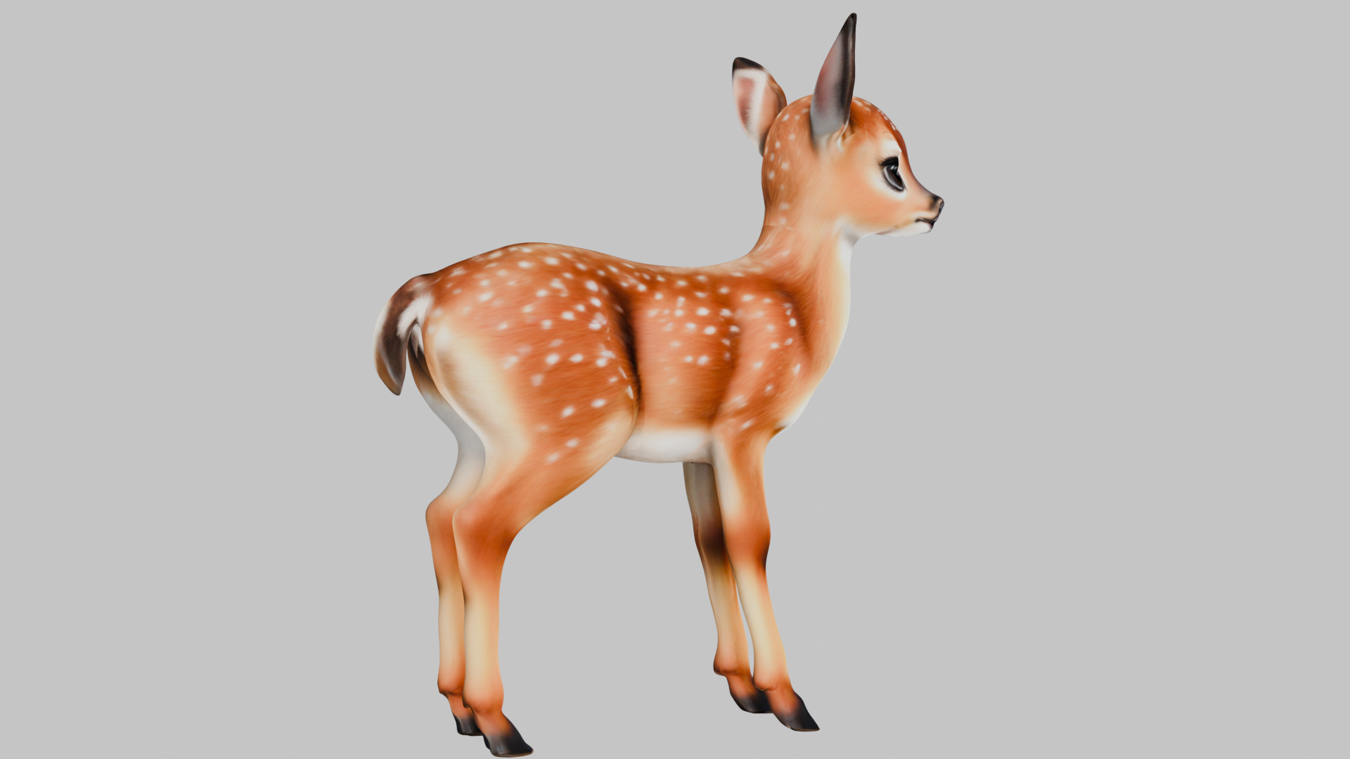 Realistic Deer Fawn 3D Model Low-poly 3D model_12
