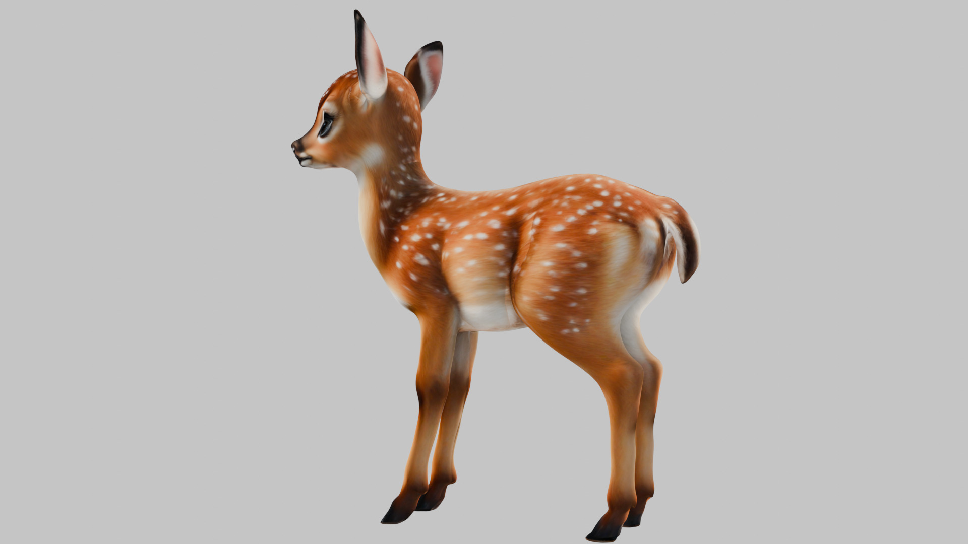 Realistic Deer Fawn 3D Model Low-poly 3D model_4