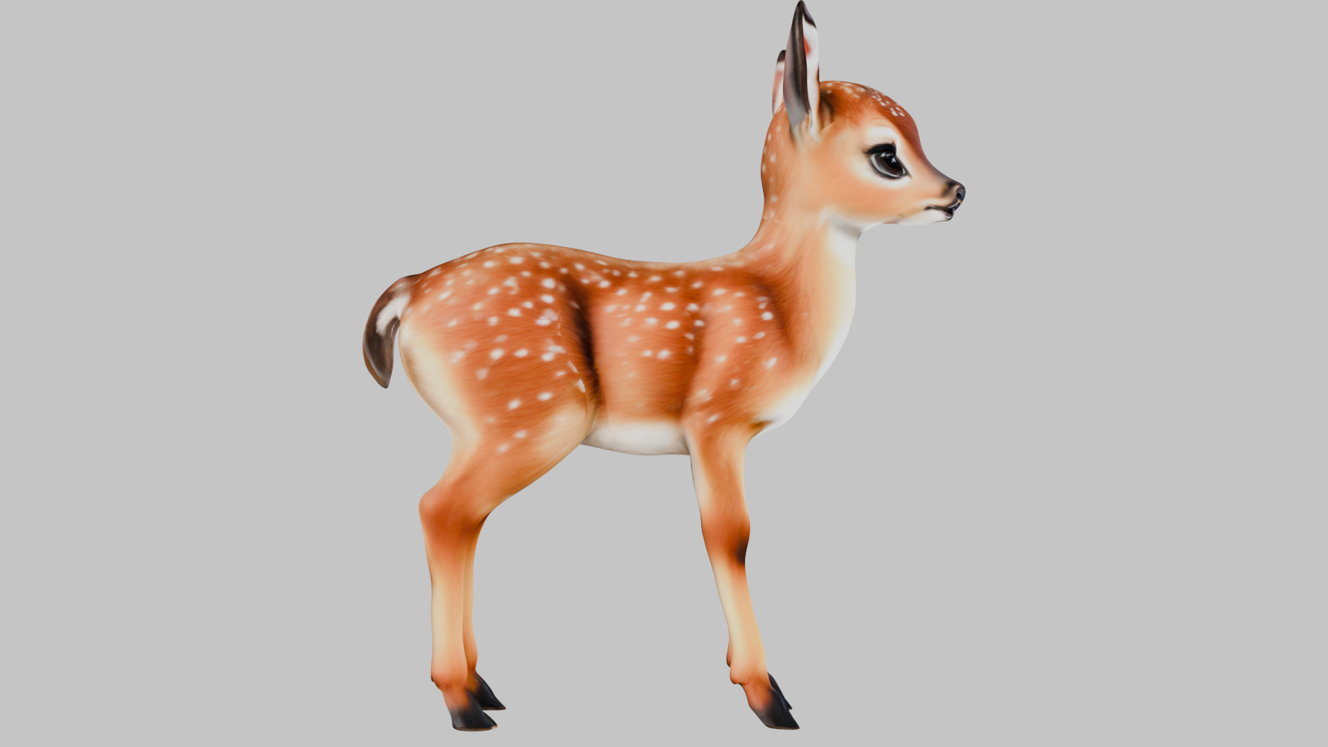 Realistic Deer Fawn 3D Model Low-poly 3D model_11