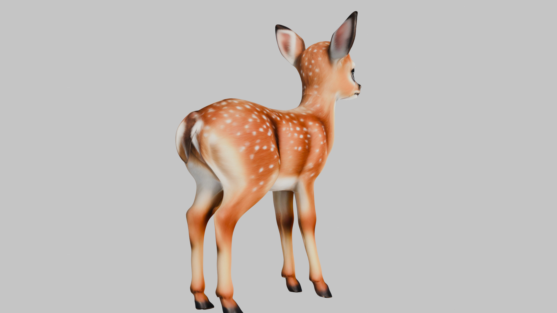 Realistic Deer Fawn 3D Model Low-poly 3D model_13
