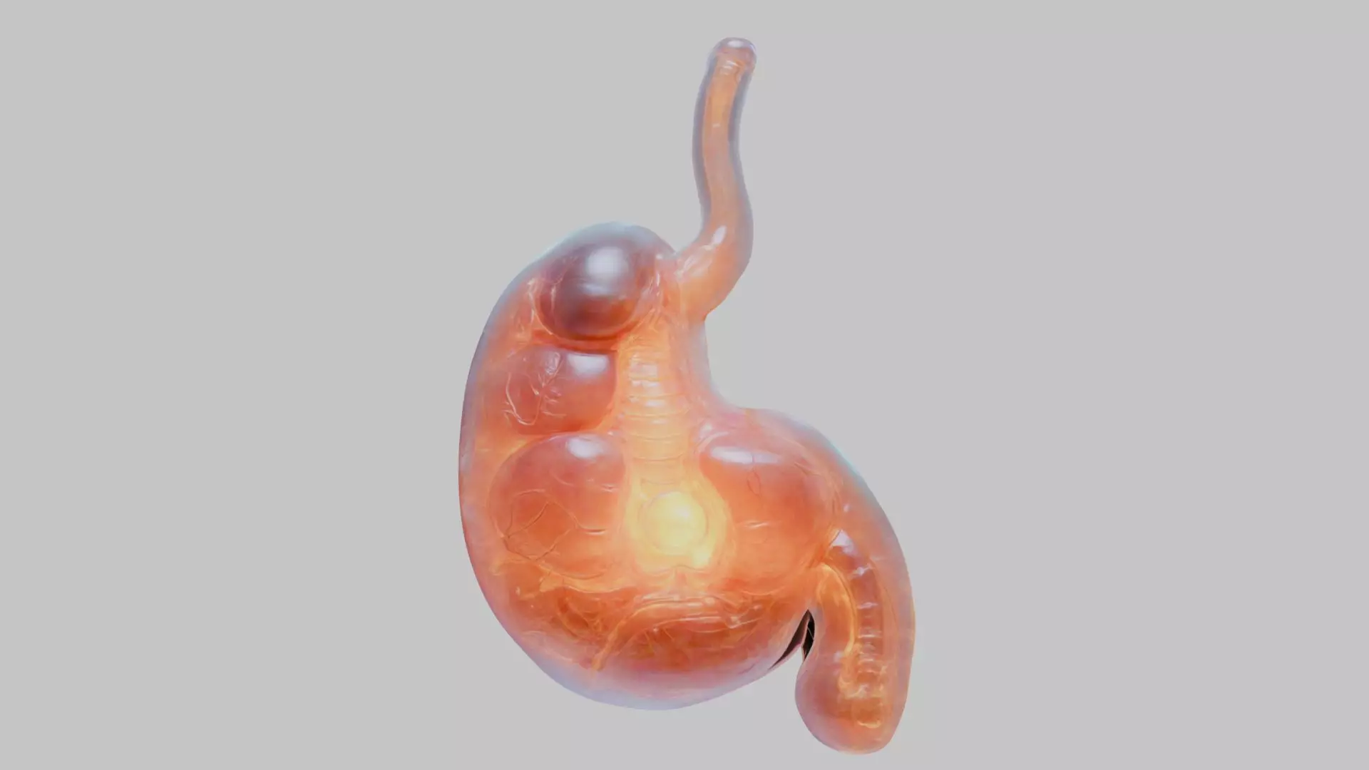 Surreal Bright Stomach Anatomy 3D Model Low-poly 3D model_0