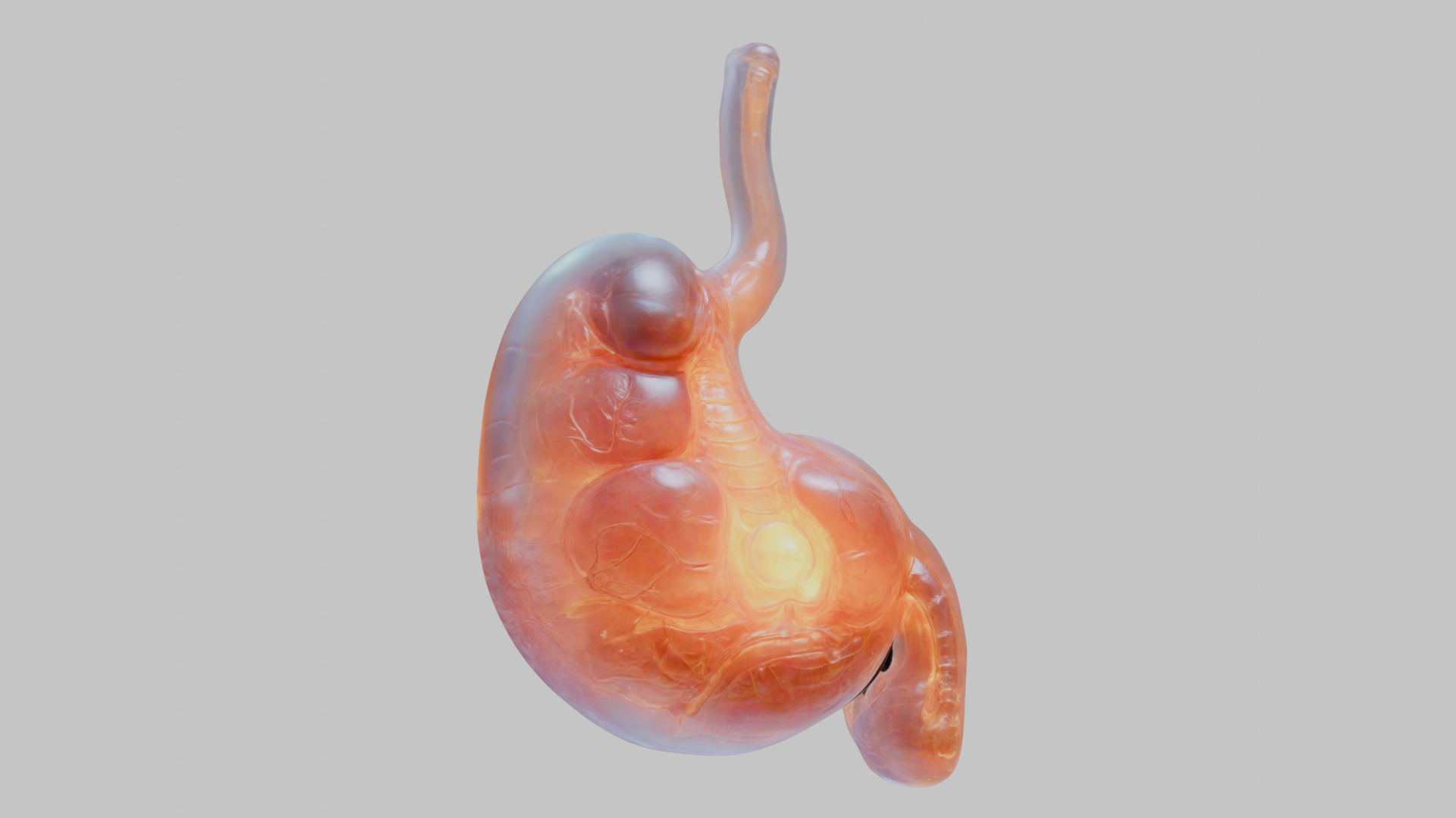 Surreal Bright Stomach Anatomy 3D Model Low-poly 3D model_8