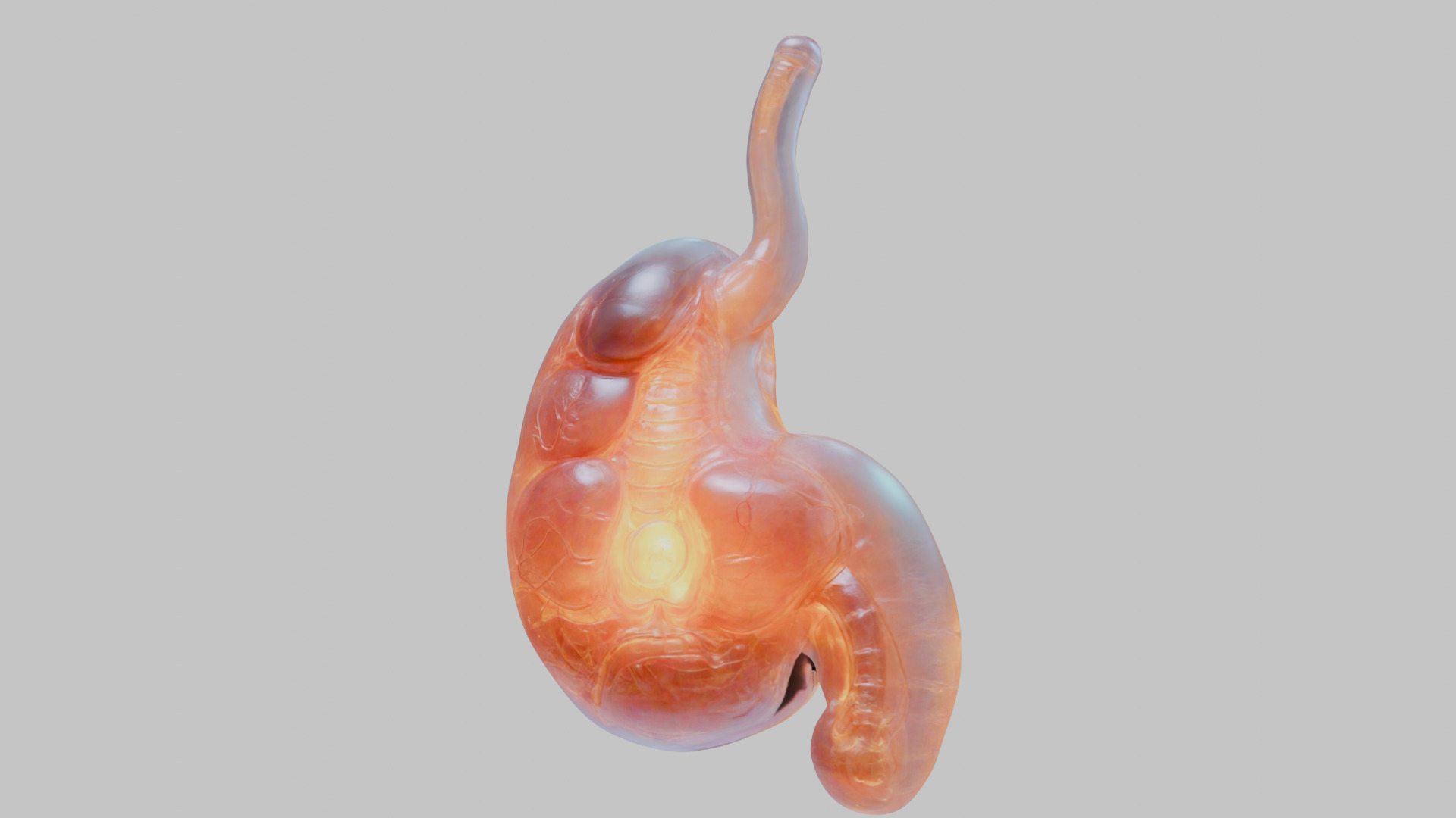Surreal Bright Stomach Anatomy 3D Model Low-poly 3D model_7