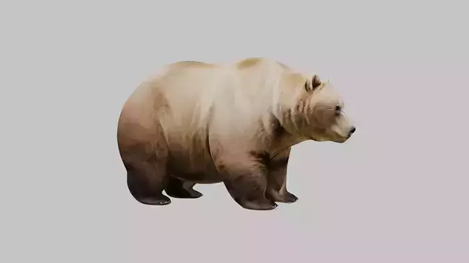 Extremely Obese Cartoon Bear 3D Model