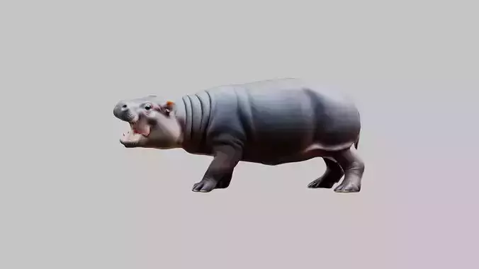 Cute Baby Hippo Roaring 3D Model